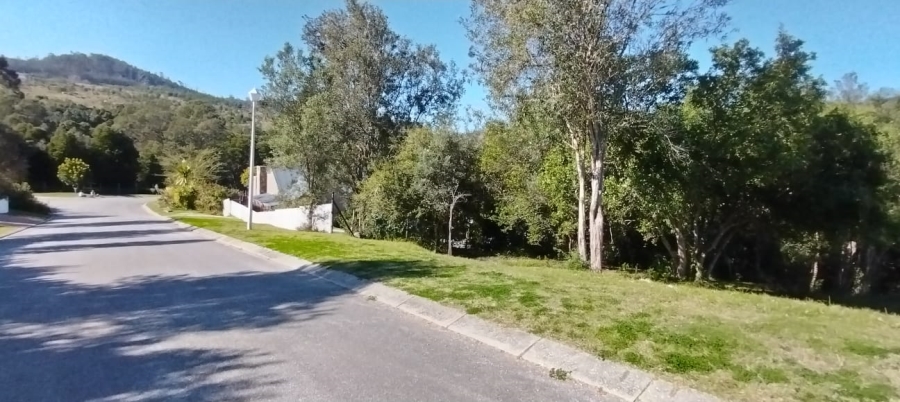 0 Bedroom Property for Sale in Green Pastures Western Cape